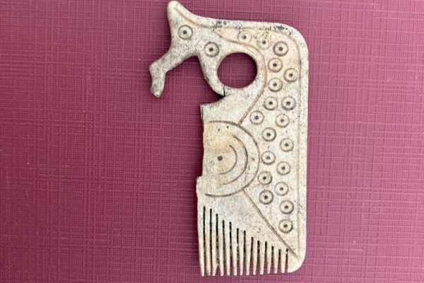 An Amazing Bone Comb