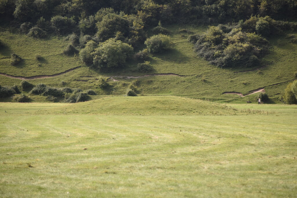 Bronze Age tumuli. Credit: N Chadwick