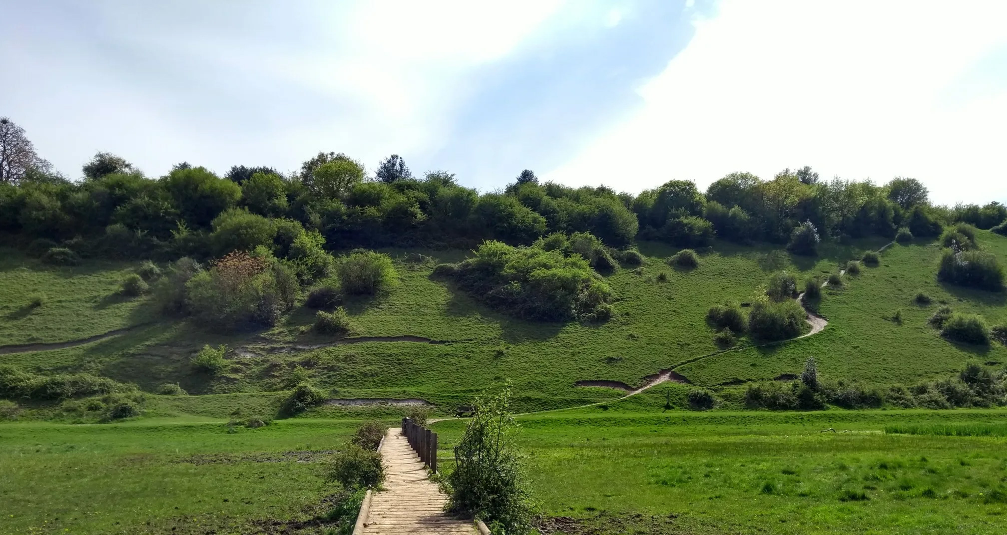 Cock Marsh Chalk escarpment